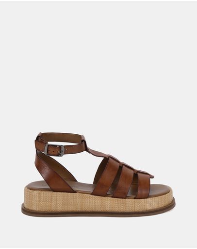 Dk Cognac