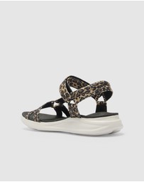 Active Flex - Native