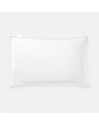 Linen House - Comfy Standard Pillow