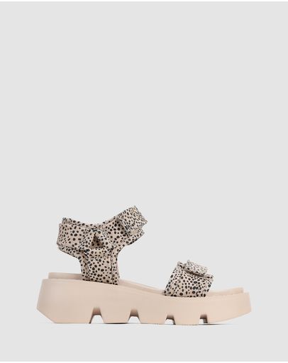 Birch Cheeta