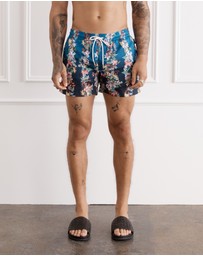 Aqua Blu Australia - Riviera Volley Shorts