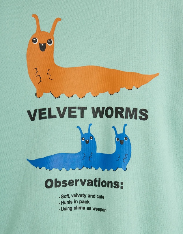 Mini Rodini - Velvet Worms Observations SP Sweatshirt