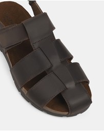 Hush Puppies - Seth