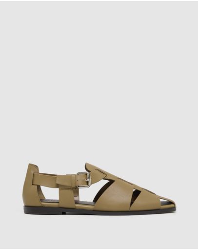Olive