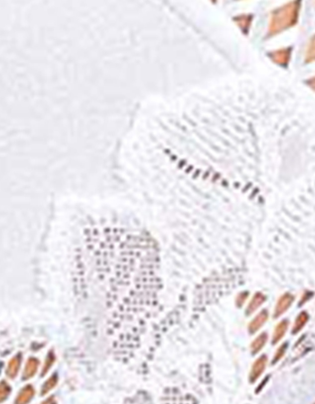 Sans Complexe - Coton D'Arum Organic Cotton Brief with Lace