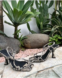 Sol Sana - Verne Heel Python