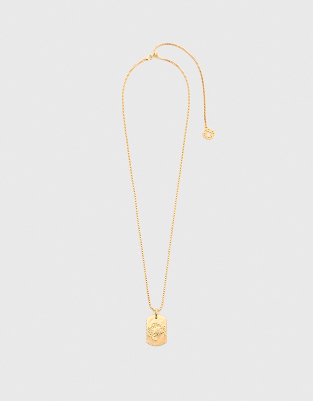 Maje - Astro Plaque Necklace