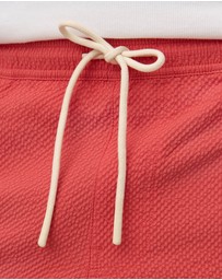 Assembly Label - Seth Swim Shorts