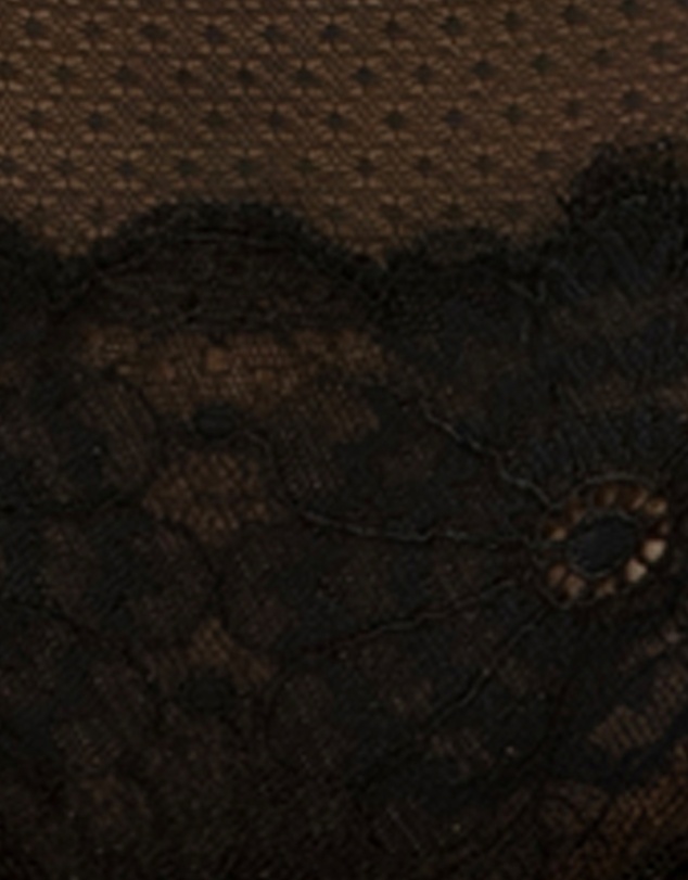 Parfait - Luxlacy Sheer Mesh & Lace Hipster Brief