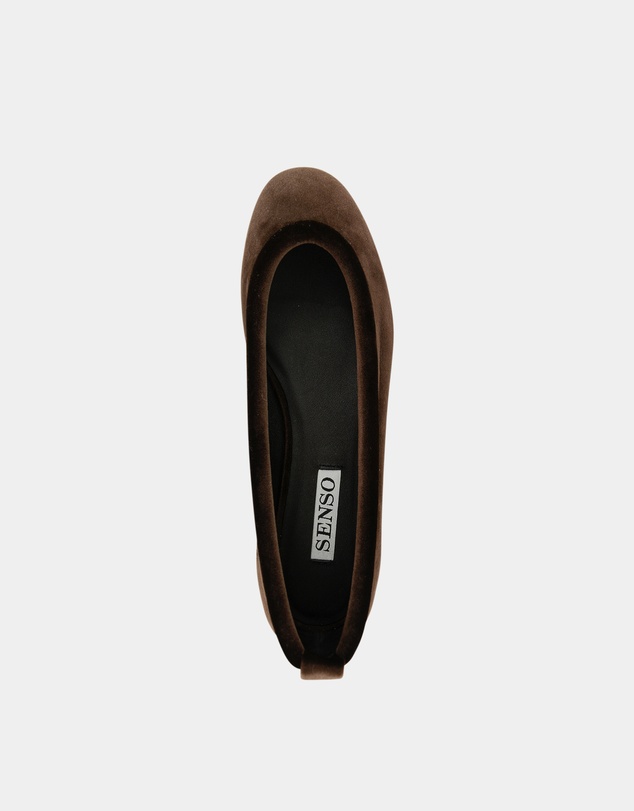 Senso - Delphine