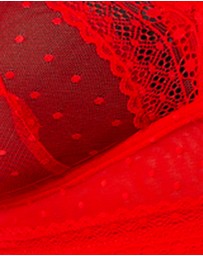 Parfait - Mia Dot Longline Padded Lace Bralette
