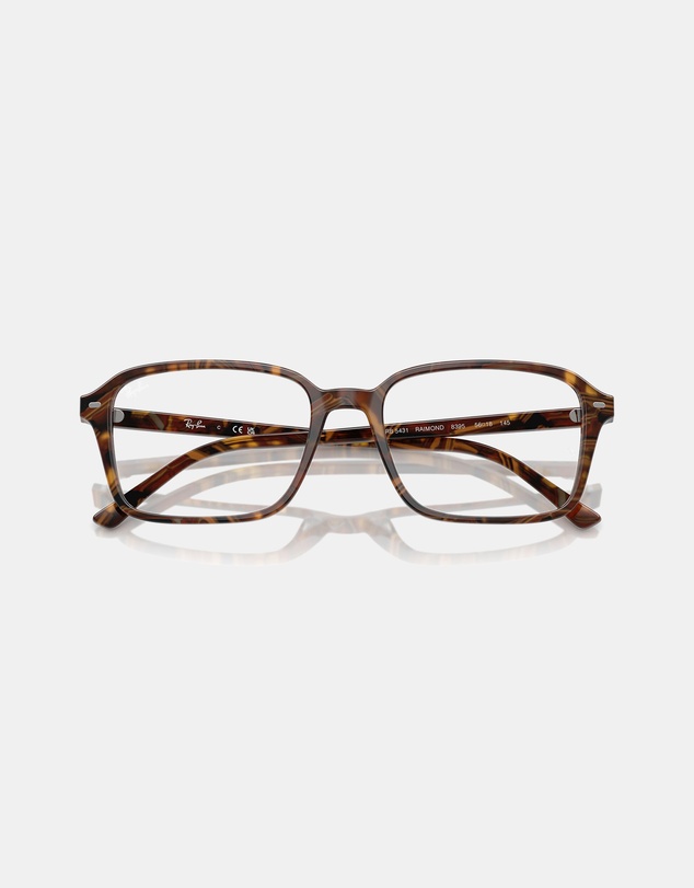 Ray-Ban Optical - Raimond