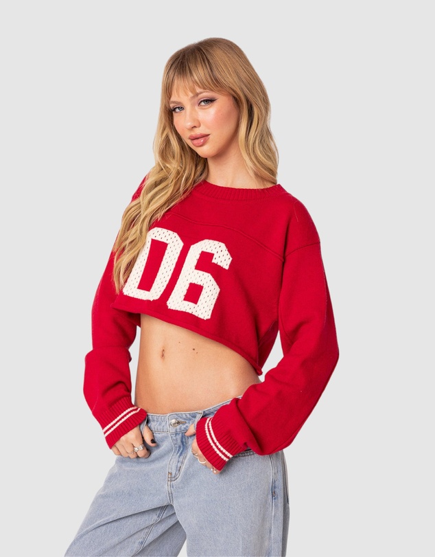 EDIKTED - Varsity Cropped Sweater