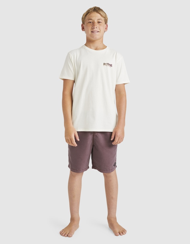 Billabong - Boys 8 to 16 All Day Overdye Layback Boardshorts 16