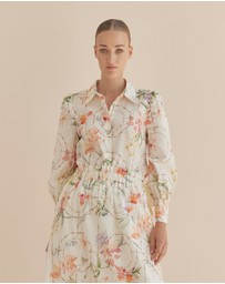 Amelius - Orangerie Collared Shirt