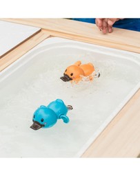 Tiger Tribe - Bath Racers - Platypuses