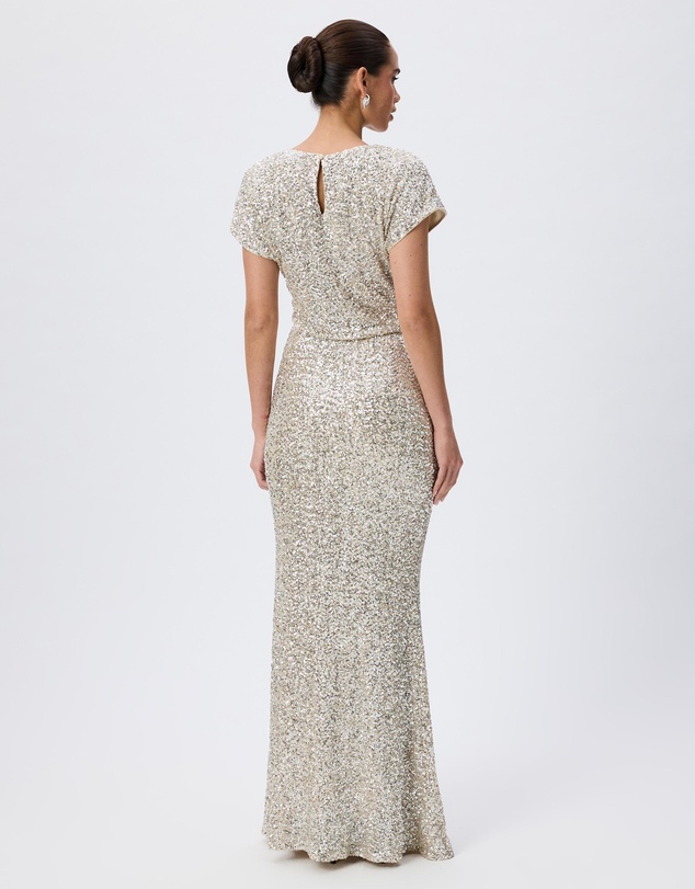 Tussah - Isadora Sequin Cap Sleeve Maxi Dress