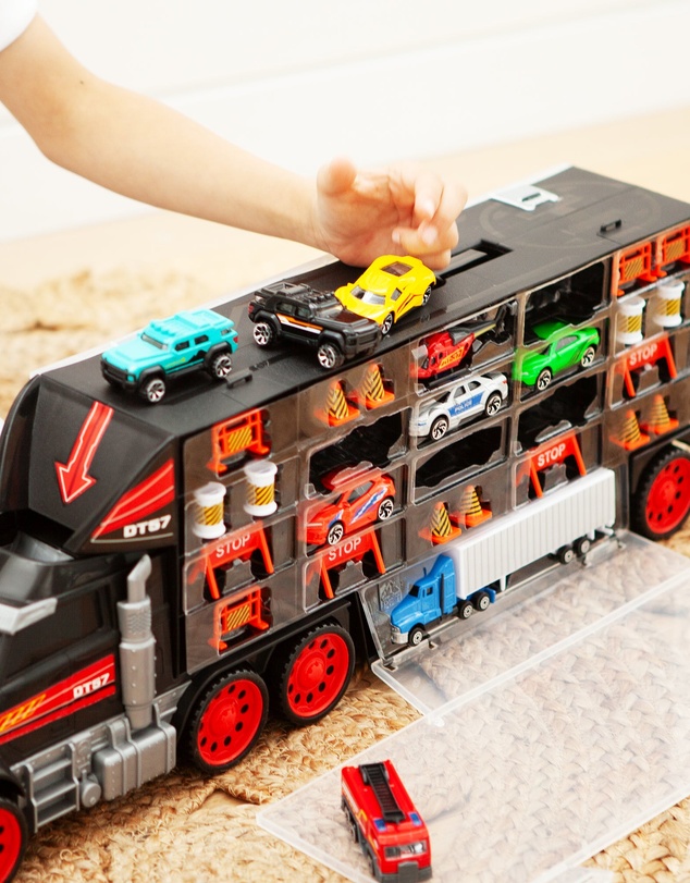 Rallye - Truck Carry Case