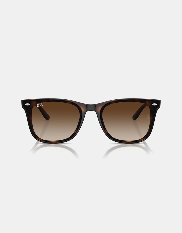 Ray-Ban - 0RB4420