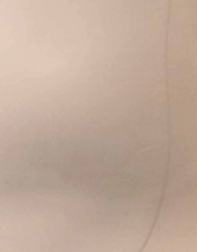 Cupid Fine Shapewear - Just Enough® Plus Size Thigh Slimmer Shaping Shorts