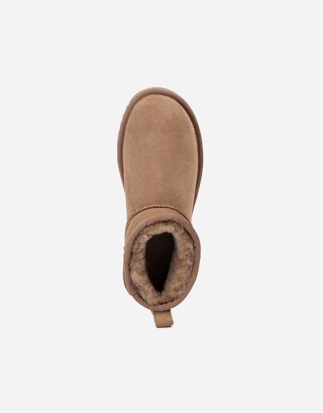 Ozwear Connection Uggs - Ugg Classic Ultra Mini Boot (Water Resistant)