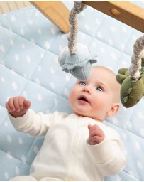 Living Textiles - 2 Pack Stroller Toys - Dinosaurs