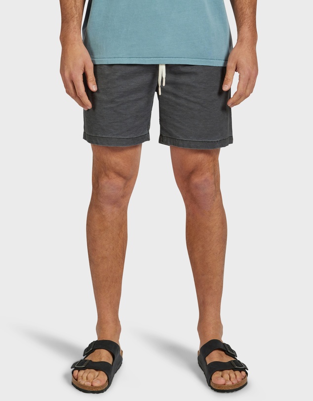 Academy Brand - Teamster Boardy