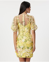 Honey and Beau - Enchanted Garden Dress