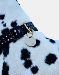 Mog & Bone - Mog & Bone ID Tag - Brass