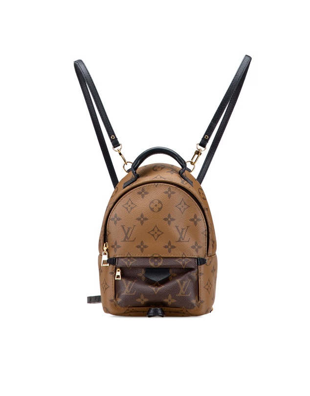 Pre-Loved by Azura Reborn - Pre-Loved Monogram Reverse Mini Palm Springs