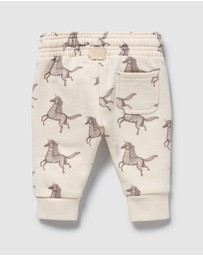 Wilson & Frenchy - Organic Terry Sweat Pants - Babies