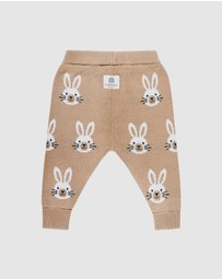 Kynd Baby - Knit Bunny Pant in Oatmeal