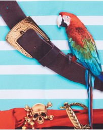 Bluesalt Beachwear - Pirate Rash Suit
