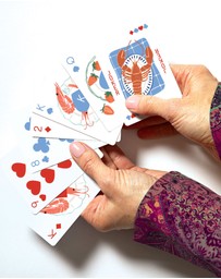 Journey Of Something - European Summer Playing Cards