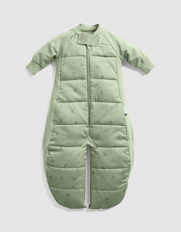 ergoPouch - Sleep Suit Bag 2.5 TOG