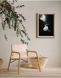 Olive et Oriel - To the Light Art Print