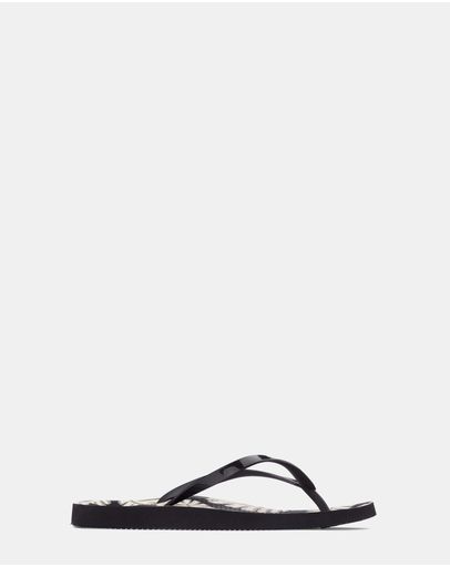 Palm Black