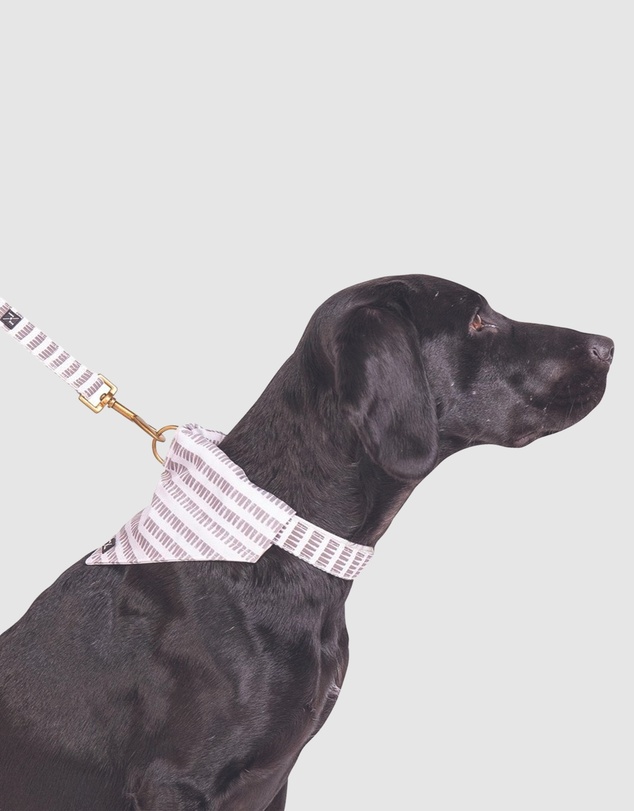 Mog & Bone - Dog Banadana - Latte Mosaic Print
