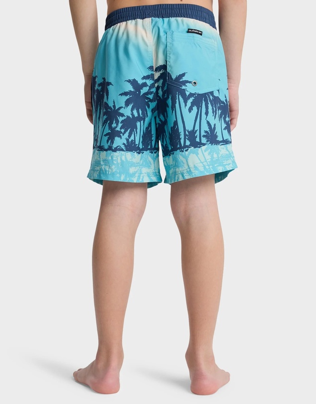 Quiksilver - Boys 8 to 16 Everyday Printed 14