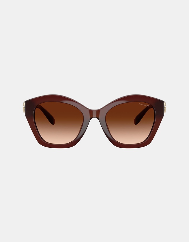 Coach - CAD31