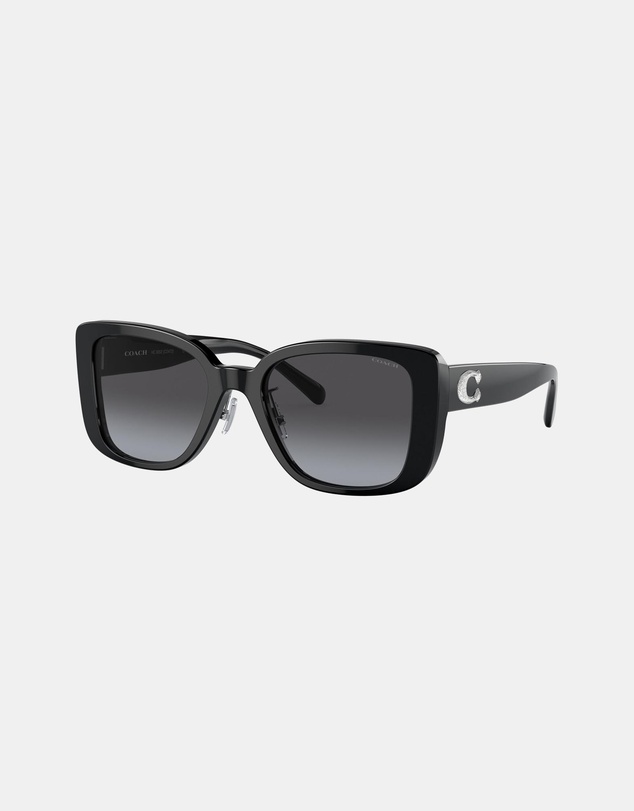 Coach - CD472