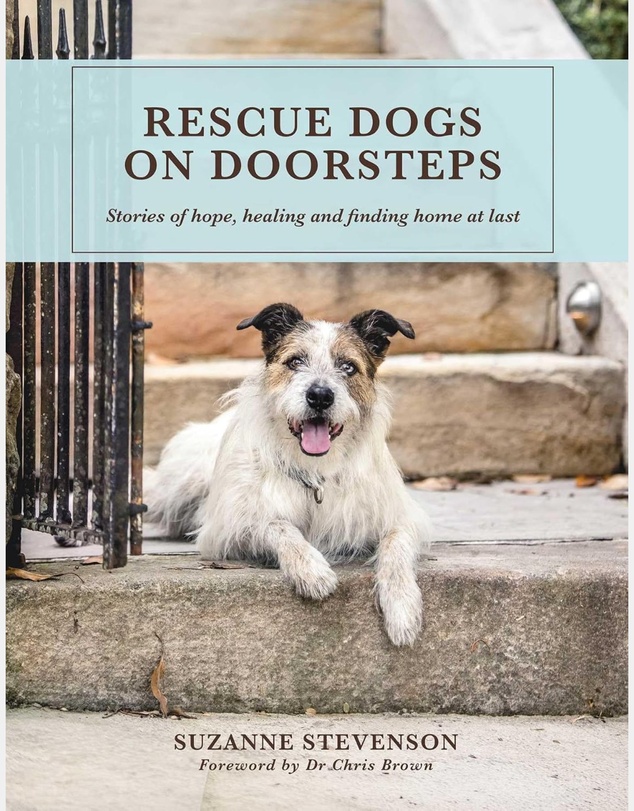 Brumby Sunstate - Rescue Dogs on Doorsteps