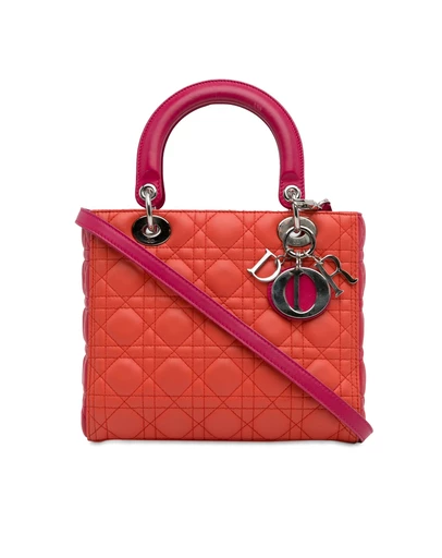 Pre-Loved by Azura Reborn - Pre-Loved Diorama Lady Dior Handbag
