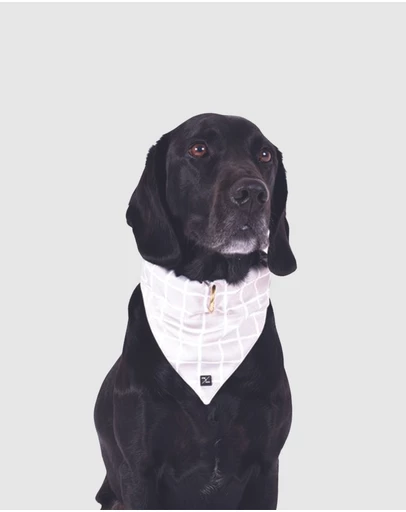 Mog & Bone - Dog Bandana - Grey Check Print