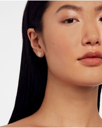 Ted Baker - Soletia Solitaire Sparkle Crystal Stud Earrings