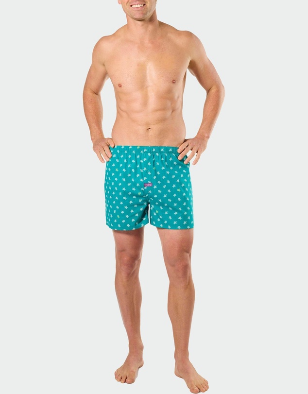 Mitch Dowd - Mitchdowd Mens Woven Boxer Shorts 5 Pack Beach Print