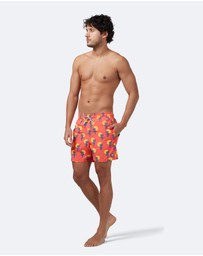 Tom & Teddy - Cactus Swim Shorts