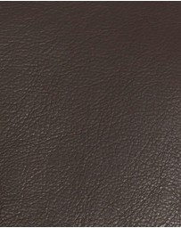 Tarocash - Dayle Shearling Jacket