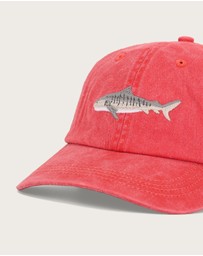 Pallion Point - Tiger Shark Fish Lid