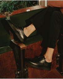 Brando - Chiado Lace Ups